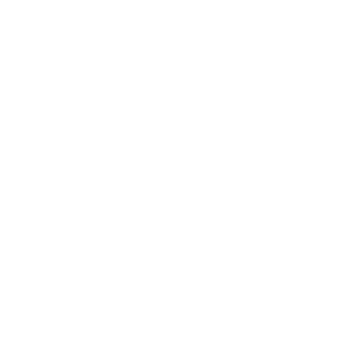 Stateless Society